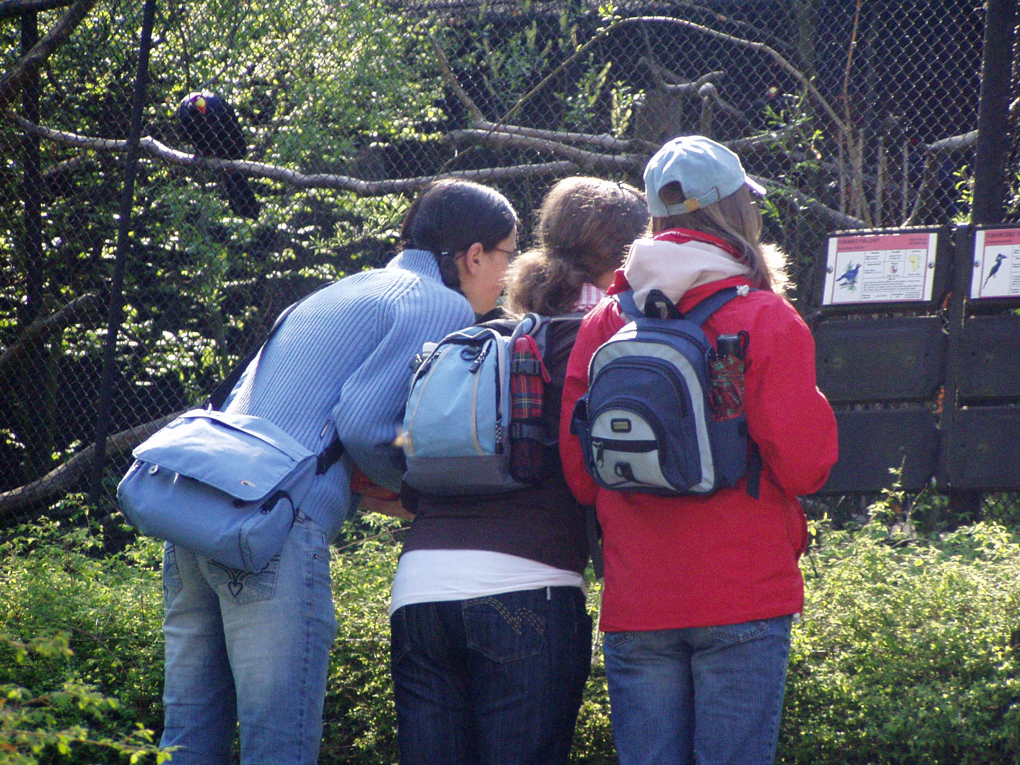 P1010063.JPG