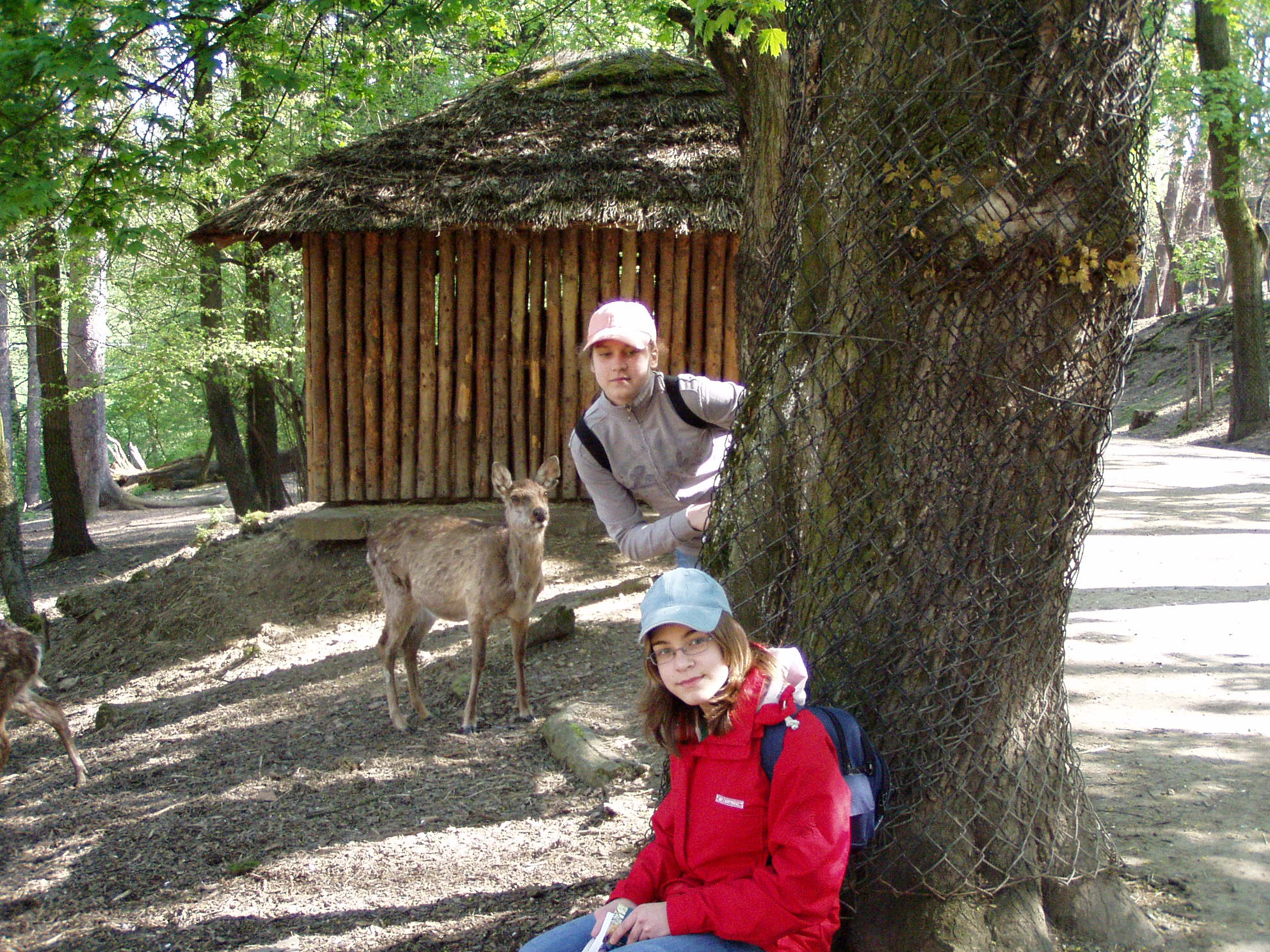 P1010090.JPG